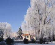 尚志天氣預報7天