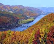 林口天氣預(yù)報40天