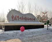 綏化天氣預(yù)報(bào)7天