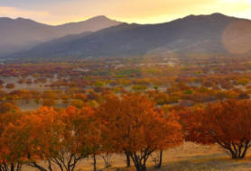 扎魯特旗天氣預報7天