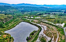 松山天氣預(yù)報15天