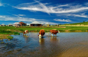 正藍(lán)旗今天天氣