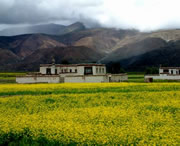 拉孜天氣預報15天