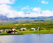 玉樹(shù)今天天氣