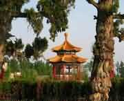 長(zhǎng)葛今天天氣