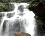 天臺(tái)今天天氣