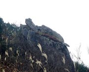 松溪天氣預(yù)報15天