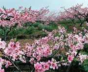 龍泉驛今天天氣