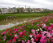 雙流天氣預(yù)報7天