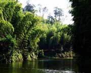 長(zhǎng)寧今天天氣