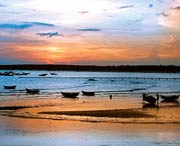 吳川天氣預報15天