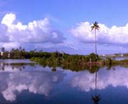 徐聞天氣預(yù)報15天