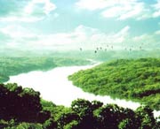 廉江天氣預(yù)報15天