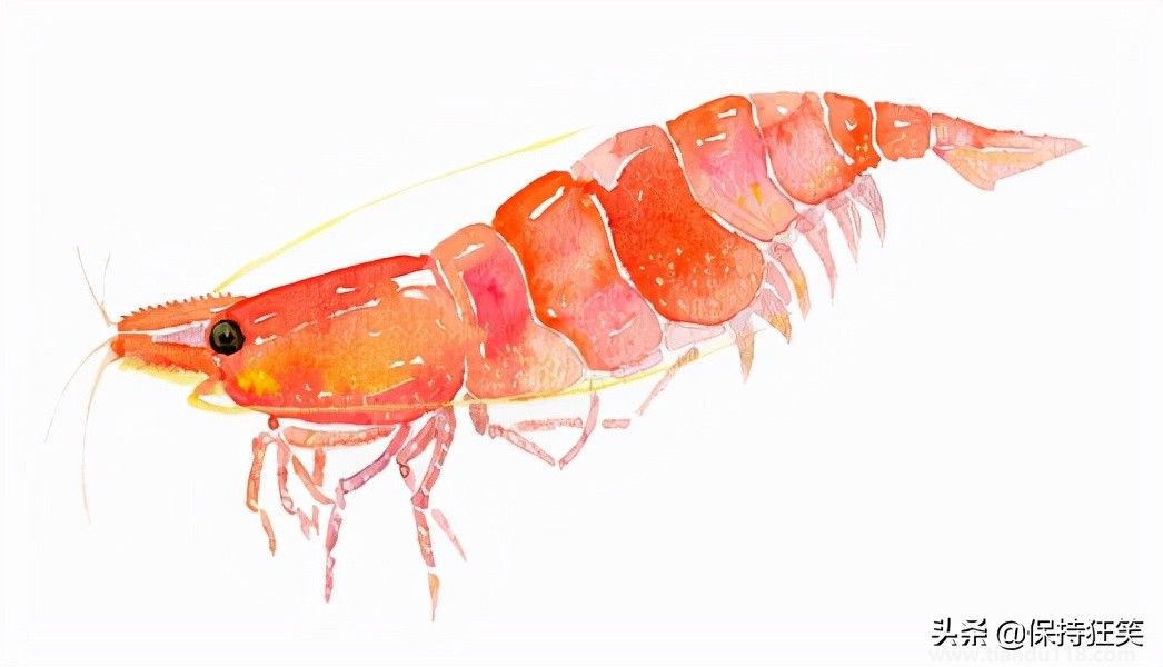 臺灣有哪些特產(chǎn)(臺灣特產(chǎn)排行榜前十名)(圖11) 臺灣十大特產(chǎn)排行榜 臺灣特產(chǎn)什么最出名 來臺旅游值得帶的伴手禮