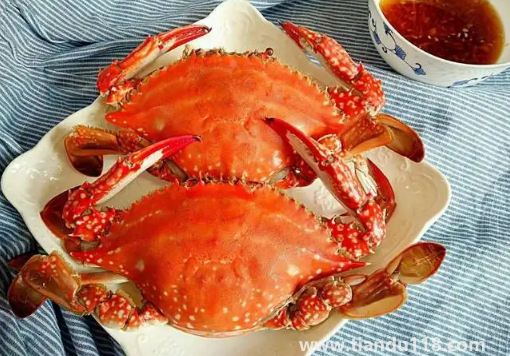 ?梭子蟹蒸多久最佳時間(清蒸梭子蟹的做法)(圖2) 梭子蟹蒸多久最佳時間2