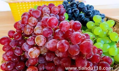 玻璃翠葡萄又叫什么(玻璃翠葡萄可以吃皮嗎)(圖2) 玻璃翠葡萄又叫什么2
