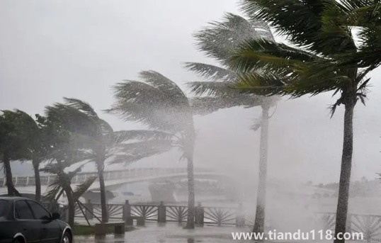 2022年為什么臺(tái)風(fēng)這么少(臺(tái)風(fēng)來了怎么辦)(圖1) 2022年為什么臺(tái)風(fēng)這么少1