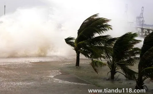 2022年為什么臺(tái)風(fēng)這么少(臺(tái)風(fēng)來了怎么辦)(圖3) 2022年為什么臺(tái)風(fēng)這么少3