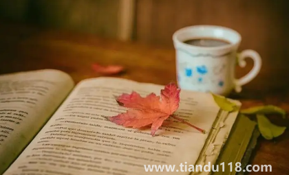 2022年專升本是大二考還是大三考(如何準(zhǔn)備專升本考試)(圖1) 2022年專升本是大二考還是大三考1