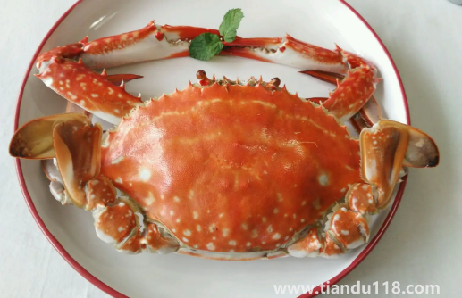 梭子蟹蒸好要不要燜一下（清蒸梭子蟹的做法）