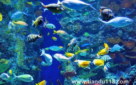 去海洋館穿藍(lán)色衣服好不好看1