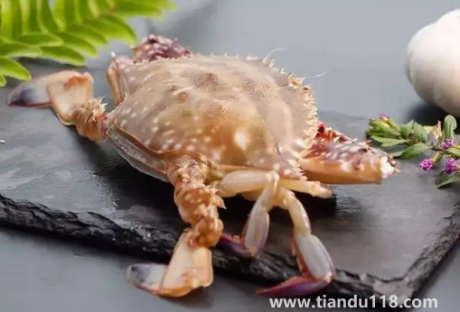 梭子蟹買回來(lái)沒(méi)多久就死了可以吃嗎(梭子蟹的做法推薦)(圖2) 梭子蟹買回來(lái)沒(méi)多久就死了可以吃嗎2