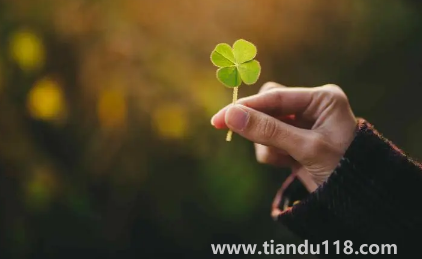 2023年兔年旺月是幾月(兔年2023年的運(yùn)勢(shì)怎么樣)(圖2) 2023年兔年旺月是幾月2