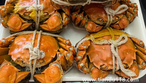 洗澡蟹啥意思(洗澡蟹和過水蟹的區(qū)別)(圖3) 洗澡蟹啥意思3