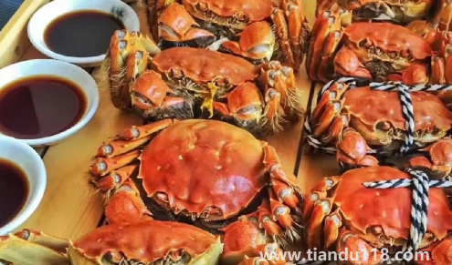 2022陽澄湖大閘蟹中秋節(jié)能吃到嗎(陽澄湖大閘蟹在哪里買最正宗)(圖2) 2022陽澄湖大閘蟹中秋節(jié)能吃到嗎2