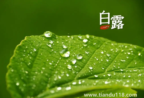 2022年白露在什么時間幾點(diǎn)幾分幾秒鐘(白露怎么養(yǎng)生)(圖2) 2022年白露在什么時間幾點(diǎn)幾分幾秒鐘2