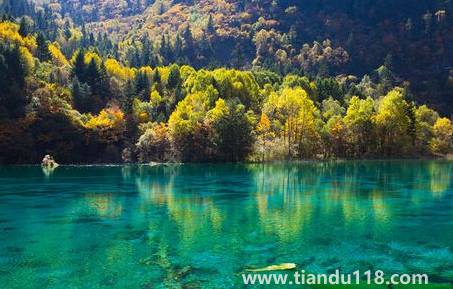 九寨溝今年國(guó)慶節(jié)開(kāi)放嗎2022(游九寨溝什么月份最佳)(圖2) 九寨溝今年國(guó)慶節(jié)開(kāi)放嗎20222