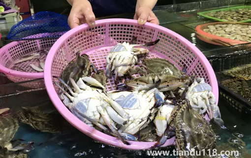 梭子蟹剛死放明天吃行嗎2