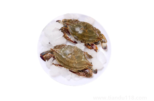 昨天買的梭子蟹今天不動了能吃嗎(活的梭子蟹怎么保存)(圖1) 昨天買的梭子蟹今天不動了能吃嗎1