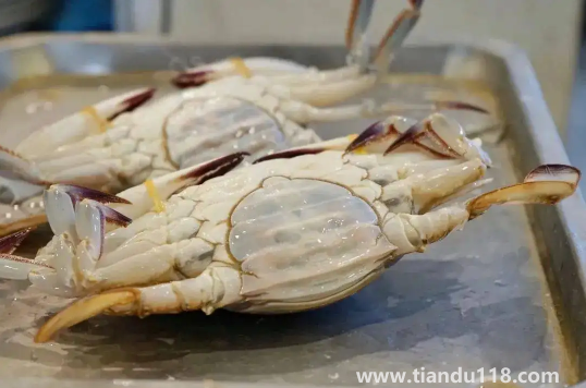 梭子蟹為什么沒有蟹黃(梭子蟹怎么挑選蟹黃多的)(圖2) 梭子蟹為什么沒有蟹黃2