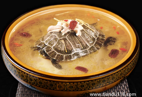 甲魚湯怎么做好喝又營(yíng)養(yǎng)(甲魚湯的功效與作用)(圖3) 甲魚湯怎么做好喝又營(yíng)養(yǎng)3