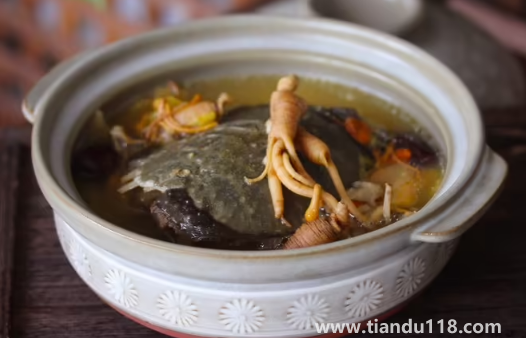 甲魚湯怎么做好喝又營養(yǎng)（甲魚湯的功效與作用）
