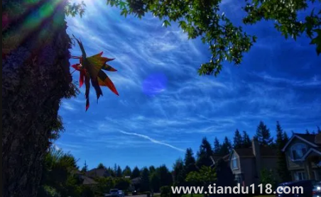 2022北京的冬天什么時(shí)候開始冷(北京的冬天多長(zhǎng)時(shí)間)(圖1) 2022北京的冬天什么時(shí)候開始冷1