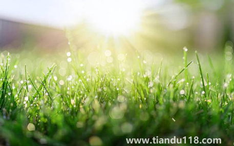 2022北京的冬天什么時(shí)候開始冷(北京的冬天多長(zhǎng)時(shí)間)(圖3) 2022北京的冬天什么時(shí)候開始冷3