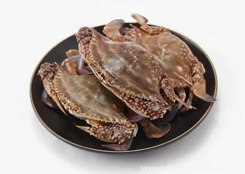 網(wǎng)上買梭子蟹是活的還是死的(梭子蟹寄過來死了能吃嗎)(圖2) 網(wǎng)上買梭子蟹是活的還是死的2