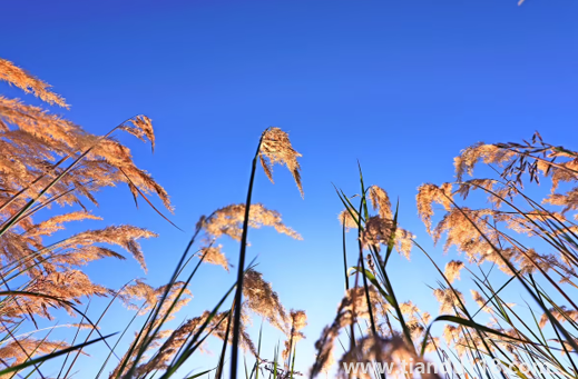2022國慶節(jié)會有冷空氣嗎(國慶節(jié)天氣怎么樣)(圖1) 2022國慶節(jié)會有冷空氣嗎1