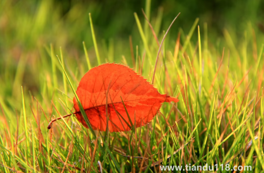 2022國慶節(jié)會有冷空氣嗎(國慶節(jié)天氣怎么樣)(圖3) 2022國慶節(jié)會有冷空氣嗎3