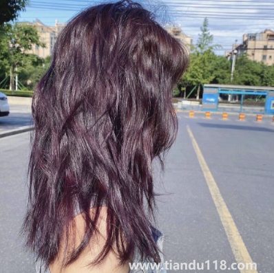 黑紫色和黑加侖紫是一個顏色嗎(秋冬染黑紫色好看嗎)(圖3) 黑紫色和黑加侖紫是一個顏色嗎3