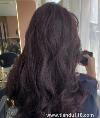 黑紫色適合黃皮嗎(黑紫發(fā)色素顏能染嗎)(圖2) 黑紫色適合黃皮嗎2