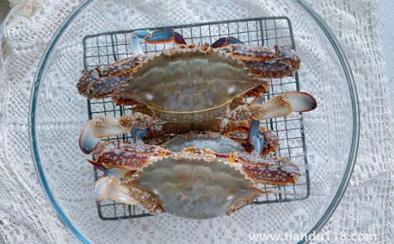 梭子蟹哪個部位最寒(螃蟹怎么吃沒那么寒)(圖2) 梭子蟹哪個部位最寒2