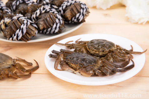 買來的活螃蟹暫時(shí)不吃怎么保存3