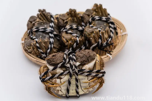 梭子蟹和大閘蟹哪個(gè)膽固醇高(梭子蟹和大閘蟹的區(qū)別)(圖2) 梭子蟹和大閘蟹哪個(gè)膽固醇高2