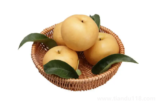 秋月梨是軟的還是脆的(秋月梨怎么吃好)(圖2) 秋月梨是軟的還是脆的2