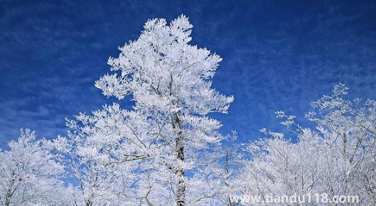 2022上海幾月份進(jìn)入冬季(上海冬季溫度是多少)(圖3) 2022上海幾月份進(jìn)入冬季3