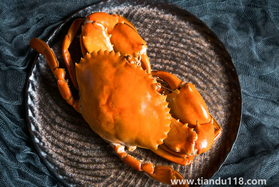 青蟹是梭子蟹的一種嗎(吃螃蟹的注意事項(xiàng))(圖2) 青蟹是梭子蟹的一種嗎2