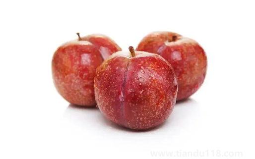 三華李和雙華李哪個(gè)更甜(李子不適合什么人吃)(圖2) 三華李和雙華李哪個(gè)更甜2